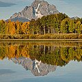 Mount Moran and Fall Colors